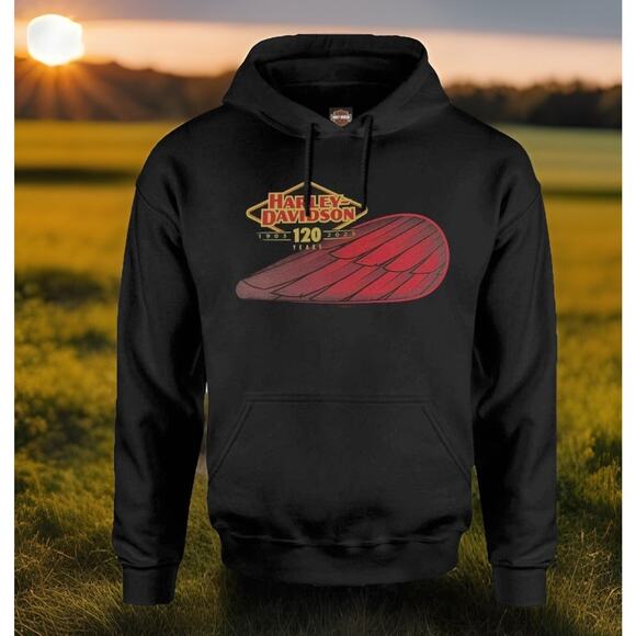 HARLEY DAVIDSON 120th Year RoadKing Full Zip Black Hoodie Jacket Mens Size 3XL